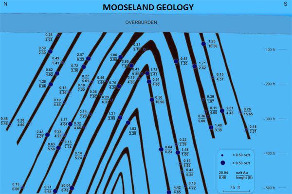 mooseland_project_picture_paint